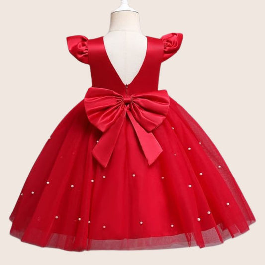 Fabric: Net & Silk Frock